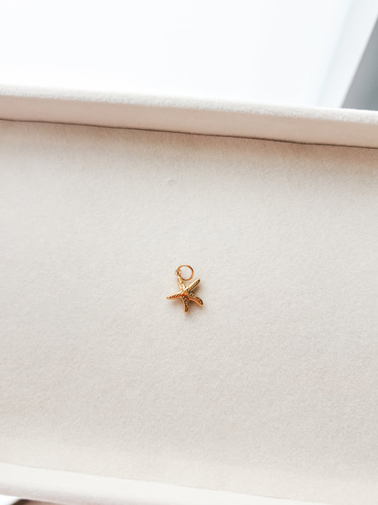 Estrella de Mar Charm